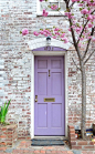 Cherry Blossoms and a Lilac Door (location unknown):: 