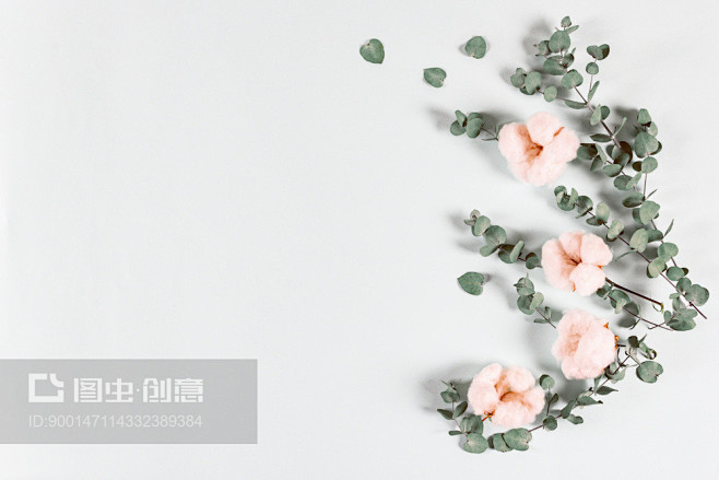 鲜花组成-清新的桉叶和棉花花在浅色背景。...