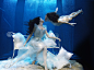 Gattaldo水下摄影系列、Gattaldo水下摄影系列、under the water、水中、水下摄影