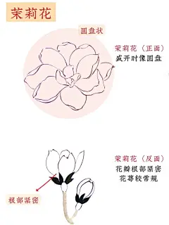 国画入门｜花卉必学技巧（2）简单易学