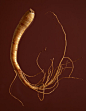 _s22_SULWHASOO_GinsengIngredientStory_v1.jpg (500×647)