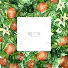 水彩手绘方形框架，橙色的橘子，树枝，绿叶和白色盛开的花朵与文字的空间