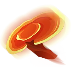  飞灵芝.png