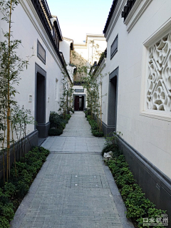 BoundlessQ采集到Chinese Hotel