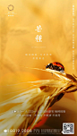 【节气】风吹麦浪芒种时——芒种地产刷屏海报 : 芒种参考素材【100P】，后台回复“芒种素材”获取。\x0a更多地产资料请关注《地产资源库》，感谢分享！