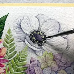 水彩--银莲花 - 高清图片，堆糖，美图壁纸兴趣社区