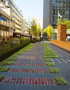 壮壮鱼头采集到PAVEment