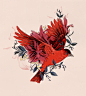 Animal Themed Illustrations : A selection of animal themed illlustrations I've created for various projects