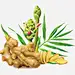 医药卡通PNG搜索网 - 精选免抠素材_透明PNG图片分享下载_pngss.com