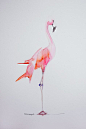 Flamingo Party - Illustration - Aquarelle - Flamant rose - Prêt à imprimer et à télécharger | Vanessa Pouzet