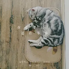 4Minutes 《光长肉了》你走以后 还在等你 （歌词 语录 文字 壁纸 锁屏 键盘 原创 短句）