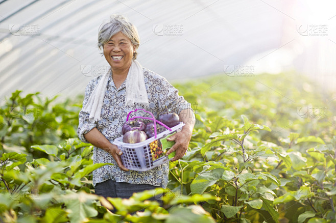 蔬菜,拿着,幸福,果盘,温室,亚洲,女人...
