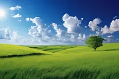 草原全景大草原蓝天白云摄影图