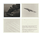Sightings. Vol.2/ Avistamientos. Vol.2