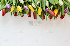 鲜花背景，贺卡，收获，mocap问候母亲节，国际妇女节:多色郁金香在一个灯光背景，copyspace