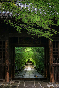 古琴心采集到良辰美景奈何天