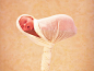 『女摄影师』Anne Geddes：可爱天使婴儿摄影 - 新摄影