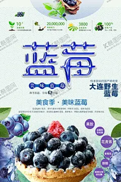 蓝莓 【酷图网】蓝莓,蓝莓海报,蓝莓广告,野生蓝莓,新鲜蓝莓,精选蓝莓,蓝莓包装,蓝莓酱,蓝莓汁,蓝莓礼盒,蓝莓纸箱,蓝莓外箱,蓝莓酒,蓝莓酒包装,蓝莓果汁,蓝莓果汁包装,蓝莓设计,蓝莓包装设计,蓝莓天地盖,蓝莓饮料包装,电商蓝莓,水果海报,水果超市,超市海报,采摘季,蓝莓标签