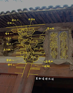 小猪白饭采集到想法资料