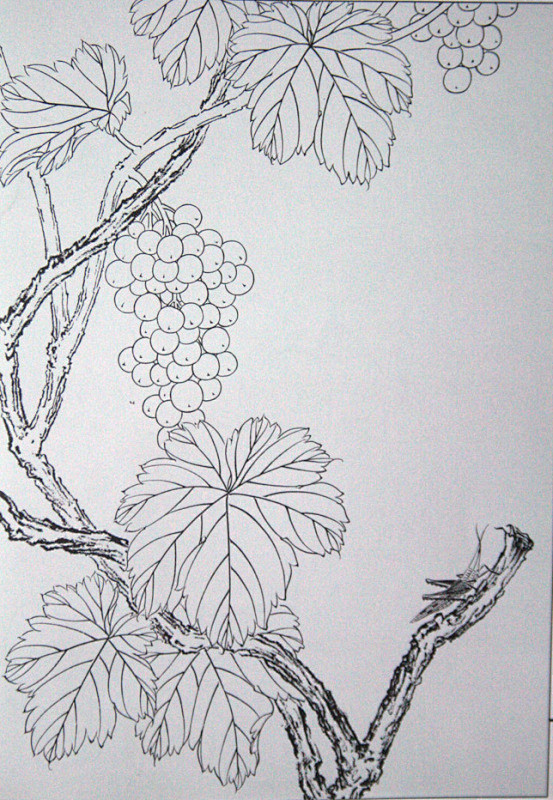 19:17:40工笔线描稿之葡萄72白描72阡陌凝烟该采集也在以下画板