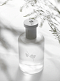 清冷梅香 | 裹了白雪的寒，又染了月光的洁