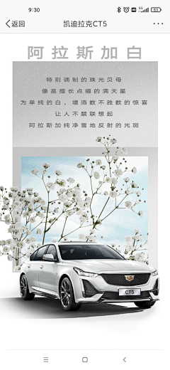 排列整齐的我2023采集到海报|版式