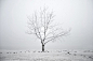 018-winter-photography