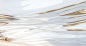 3d3af6840344895de0ca2a230d208d8d.png (2358×1254)