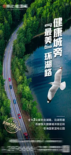 海报 房地产 环湖 湖景 公路 俯视