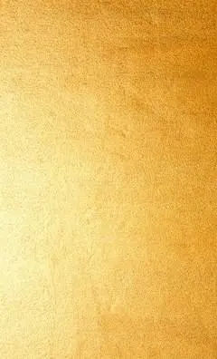 金铂纸