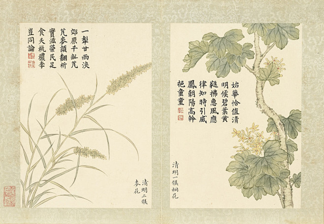 古画-花卉参考