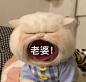 猫咪张大嘴表情包合集，快存可爱搞笑表情包无水印​​​