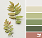 Design Seeds : Design Seeds color palettes ... posted daily for all who love color.