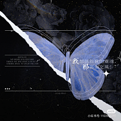 JOKER-X（宙可希）采集到明星周边