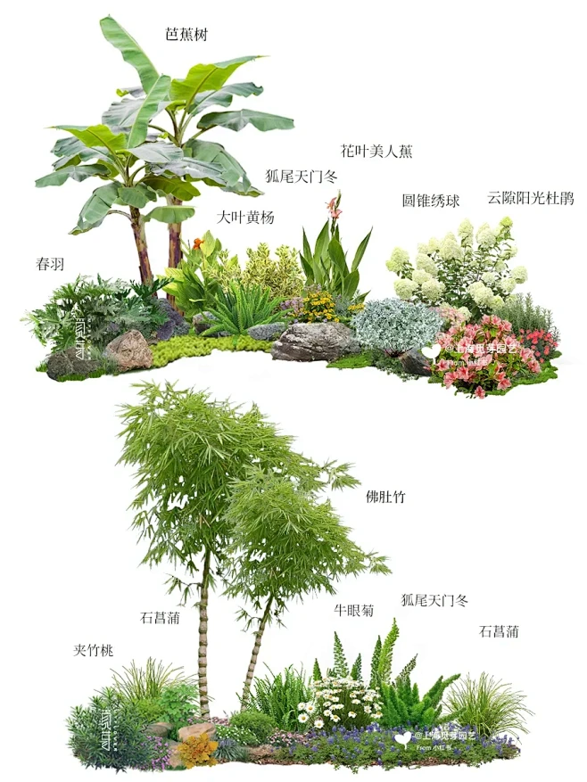 风庭院造景 植物搭配