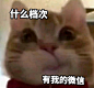 搞笑 - 热门微博 - 微博