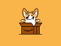 Amazon corgi surprise dribbble