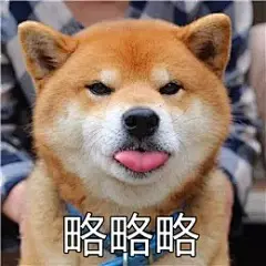 谁再跟你无耻尬聊，就用这些自带BGM的表情包逼退他 : 亲，在吗？