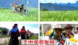 中国西藏地方民俗 少数民族传统节日 望果...