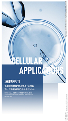 快乐的树苗采集到Dr+封面