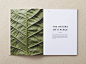 1 Hotel Branding : Client: Starwood / 1 Hotels-Year: 2013 / 2014-Project: We worked closely with Barry Sternlicht, visionary behind W Hotels, and his team to develop a strategy, identity and brand language for his newest vision, 1 Hotels: a luxury chain l
