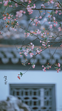 逍雨采集到唯美 意境 诗意