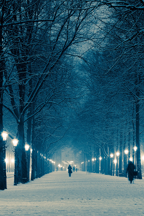 Romantic Winter