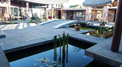 hoooscape采集到水景