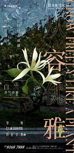 哇啊~采集到植物
