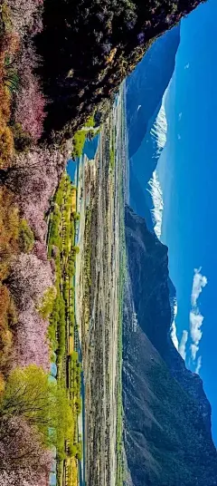 再过一个月，全世界最美桃花即将绽放！ - 天山户外--5A假期--5A景区 - 深圳天山户外活动网是深圳最专业的户外活动交流平台,官方QQ群号:134162927,多名专业领队长期组织深圳及周边地区的户外旅游活动,深圳驴友登山,西冲露营,东西冲穿越,桔钓沙,七星湾,红排角,黑排角,爬山,七娘山,白云嶂,溯溪,水底河,桂林阳朔,英西峰林,厦门鼓浪屿,徒步穿越,自驾游,承接公司或单位包团户外旅游,公司拓展,公司团建