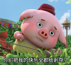 探探猫表情包：豆豆猪爱心第一弹01