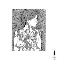 🎨甲甲采集到线描画