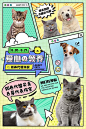 宠物领养渐变漫画分镜海报-源文件