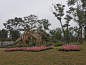 IMG_20230527_121058